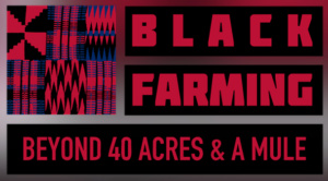 families, black farmers, LA, Los Angeles, Connect Black