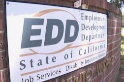 families,EDD, Unemployment, LA, Los Angeles, Connect Black